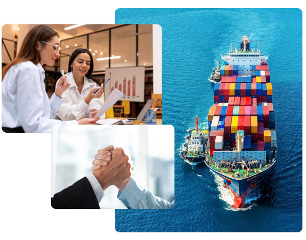 export partners - ihracat departmanı destek