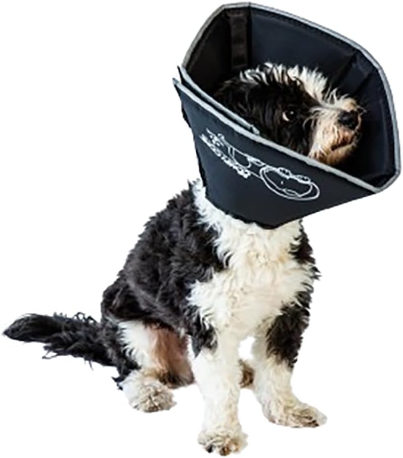 Comfy Cone Soft Recovery E-Collar