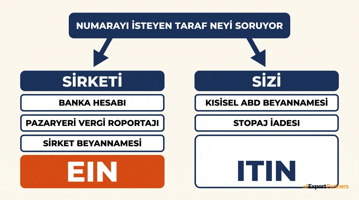 Hangi numaranın gerektiğini belirleyen karar akışı: numarayı isteyen taraf şirketi soruyorsa cevap EIN, kişiyi soruyorsa cevap ITIN olabiliyor